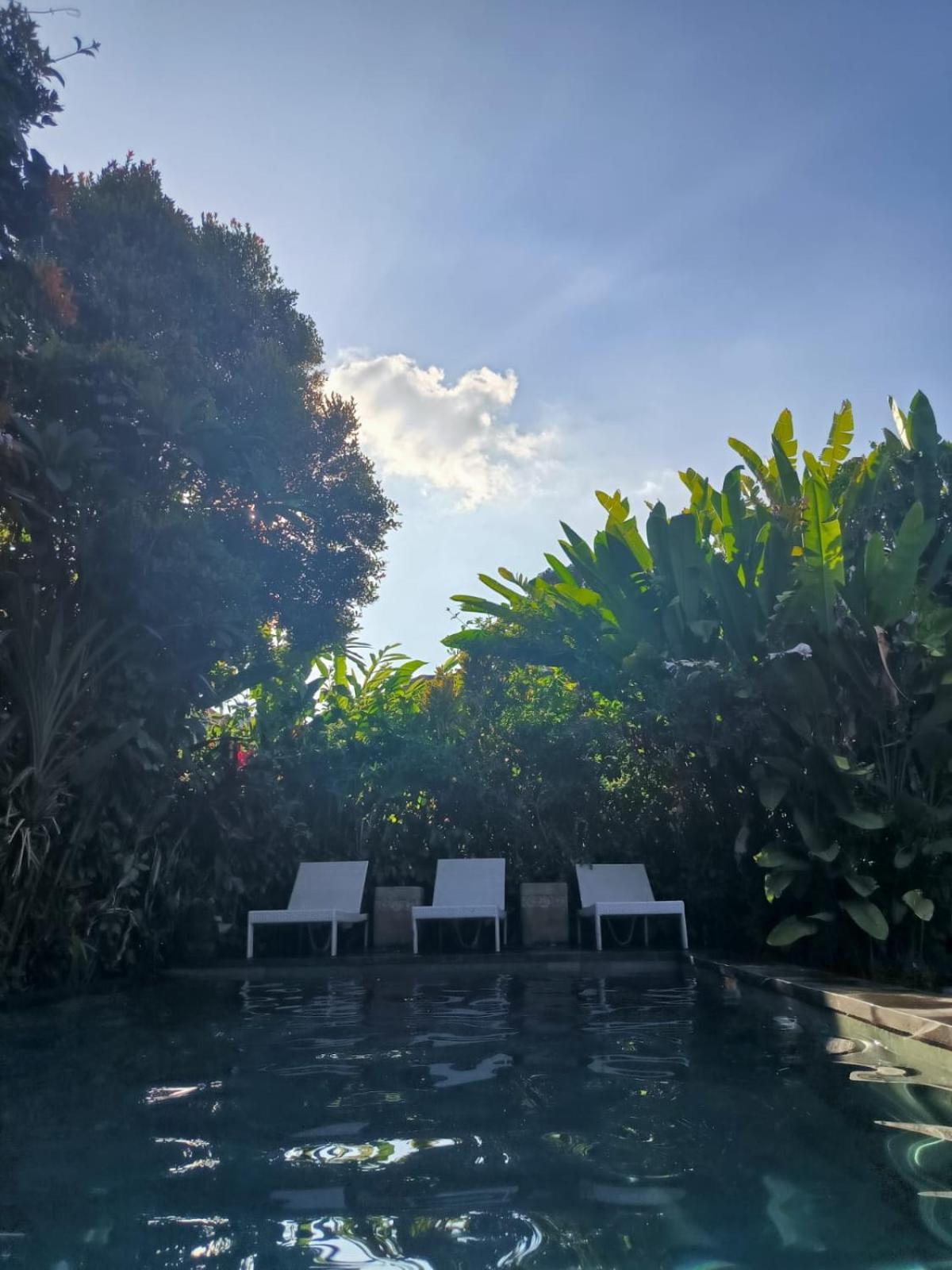 Villa Yoga House Bali Ubud Exterior foto